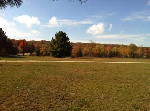 8162 W Hulbert Rd, Frederic, MI 49733 photo 30