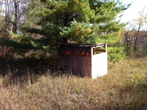 8162 W Hulbert Rd, Frederic, MI 49733 photo 26