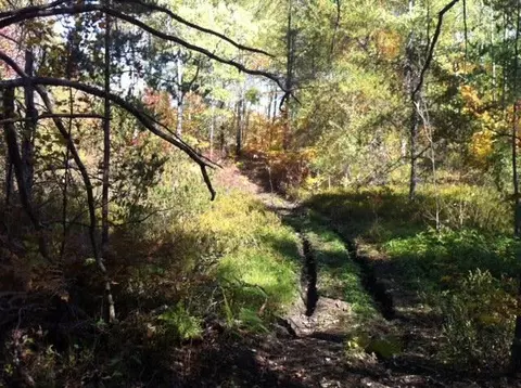 8162 W Hulbert Rd, Frederic, MI 49733 photo 29
