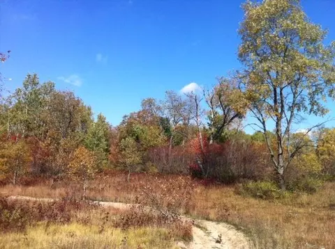 8162 W Hulbert Rd, Frederic, MI 49733 photo 12