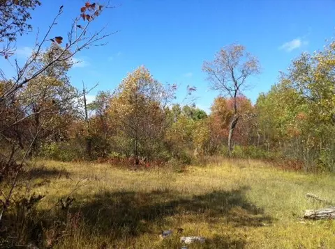 8162 W Hulbert Rd, Frederic, MI 49733 photo 25