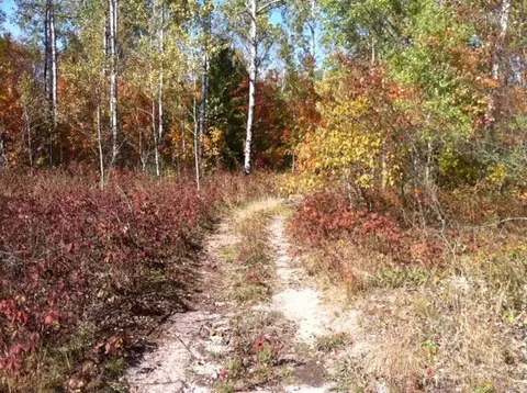 8162 W Hulbert Rd, Frederic, MI 49733 photo 27