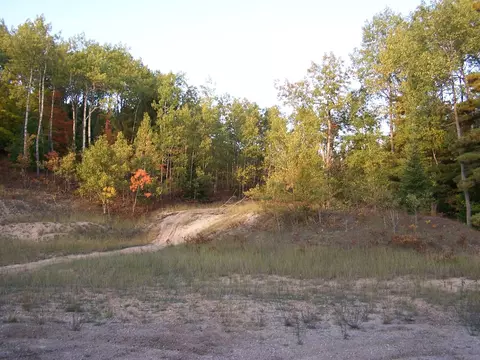 15551 Ave Du Chalet, Wolverine, MI 49799 photo 15