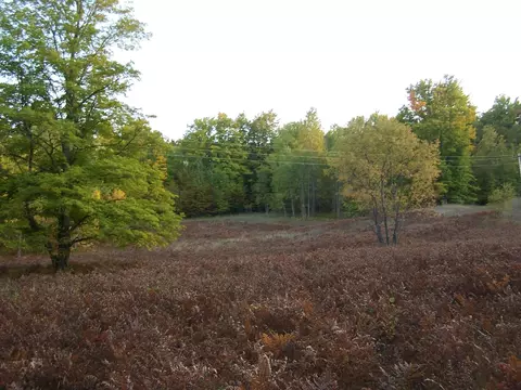 15551 Ave Du Chalet, Wolverine, MI 49799 photo 18