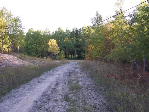 15551 Ave Du Chalet, Wolverine, MI 49799 photo 4