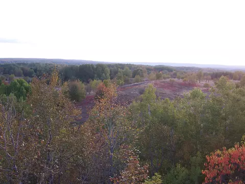 15551 Ave Du Chalet, Wolverine, MI 49799 photo 3