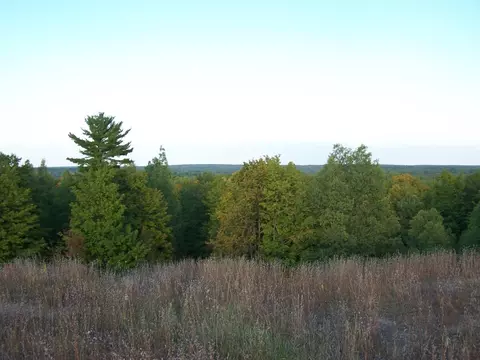 15551 Ave Du Chalet, Wolverine, MI 49799 photo 21