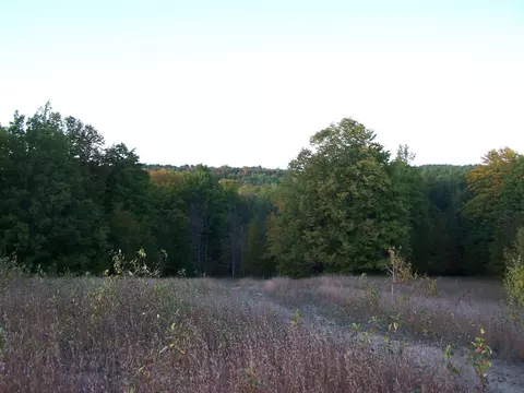 15551 Ave Du Chalet, Wolverine, MI 49799 photo 20