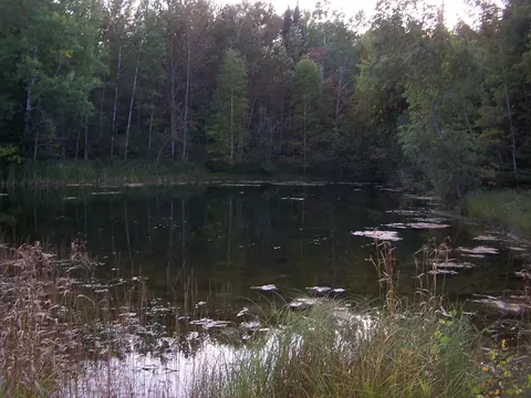 15551 Ave Du Chalet, Wolverine, MI 49799 photo 14