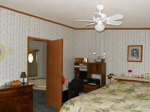 461 Mcgregor Rd, Vanderbilt, MI 49795 photo 14