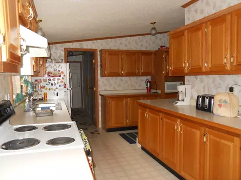 461 Mcgregor Rd, Vanderbilt, MI 49795 photo 4