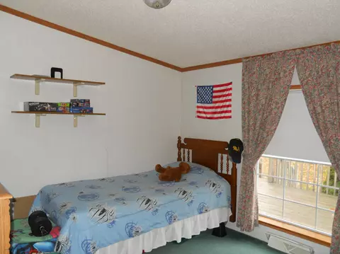 461 Mcgregor Rd, Vanderbilt, MI 49795 photo 21