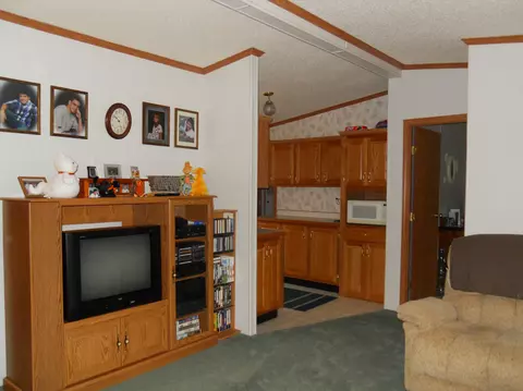 461 Mcgregor Rd, Vanderbilt, MI 49795 photo 18