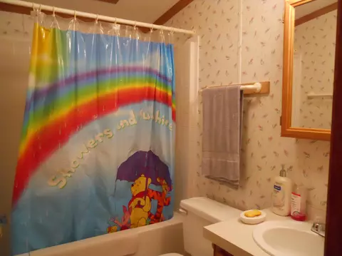 461 Mcgregor Rd, Vanderbilt, MI 49795 photo 19