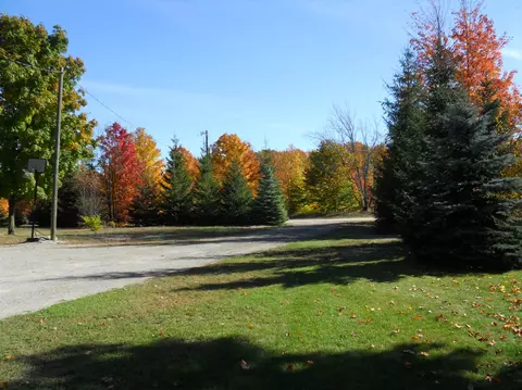 461 Mcgregor Rd, Vanderbilt, MI 49795 photo 2