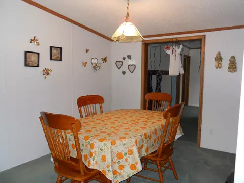 461 Mcgregor Rd, Vanderbilt, MI 49795 photo 5