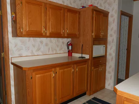 461 Mcgregor Rd, Vanderbilt, MI 49795 photo 16