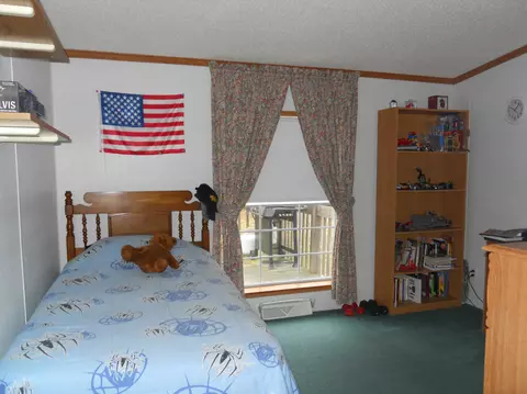 461 Mcgregor Rd, Vanderbilt, MI 49795 photo 22