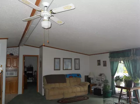 461 Mcgregor Rd, Vanderbilt, MI 49795 photo 17