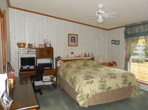 461 Mcgregor Rd, Vanderbilt, MI 49795 photo 8