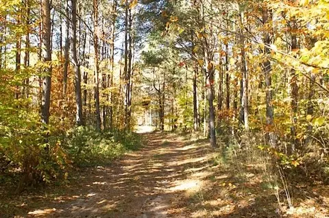 6576 Sherman Road Frederic Mi 49733 Rd, Frederic, MI 49733 photo 15