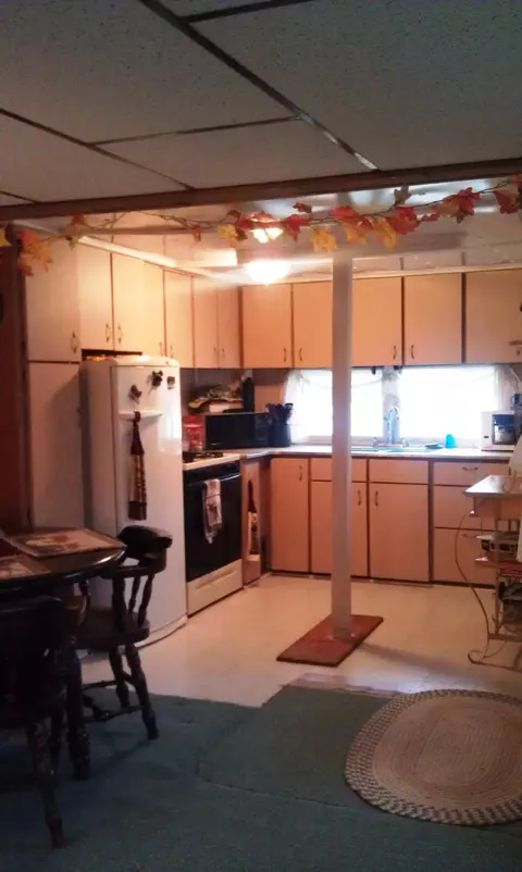 6259 Pells St, Pellston, MI 49769 photo 3