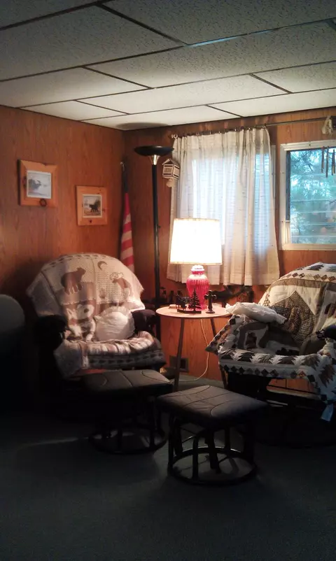 6259 Pells St, Pellston, MI 49769 photo 2