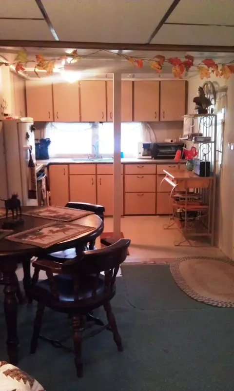 6259 Pells St, Pellston, MI 49769 photo 4
