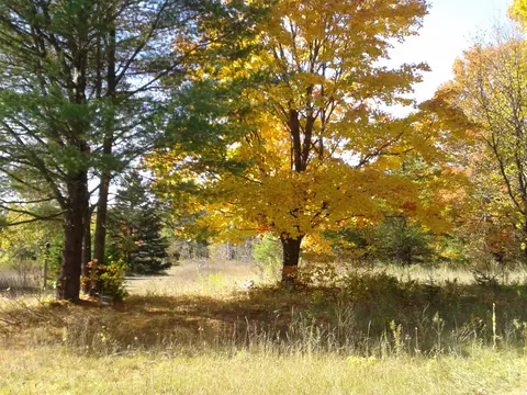 1920 Bloom Rd, Alpena, MI 49707 photo 3