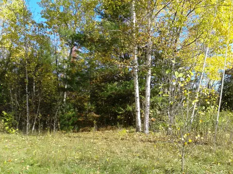 1920 Bloom Rd, Alpena, MI 49707 photo 4