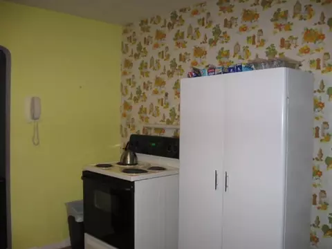 1115 Pine Rd, Alpena, MI 49707 photo 6