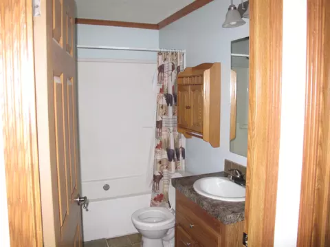 12149 Henry Collins Rd, Wolverine, MI 49799 photo 19