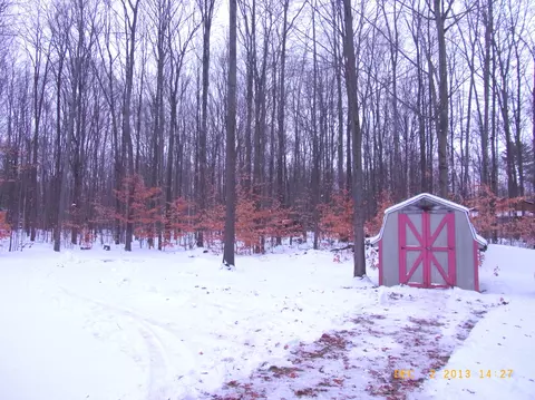 11247 Sherwood Frederic Mi 49733, Frederic, MI 49733 photo 12
