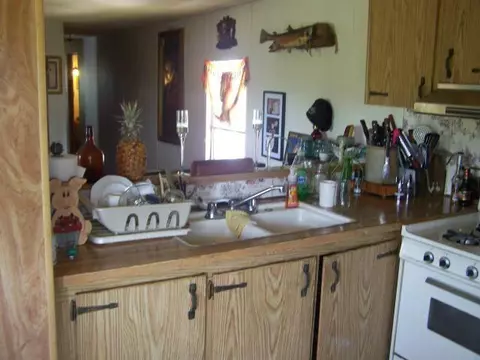 2670 Amber, Pellston, MI 49769 photo 3
