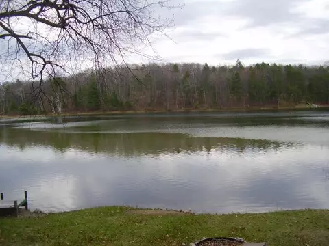 3142 Saddleback Lake Road Rd, Comins, MI 48619 photo 14