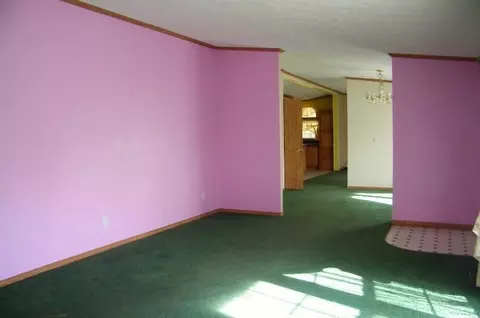 8460 Mill St Vanderbilt Mi 49795, Vanderbilt, MI 49795 photo 4