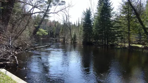 1849 Ausable River Trail Roscommon Mi 48653 Trl, Roscommon, MI 48653 photo 13