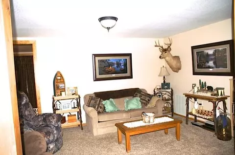 103 S Whirlpool Rd, Grayling, MI 49738 photo 21
