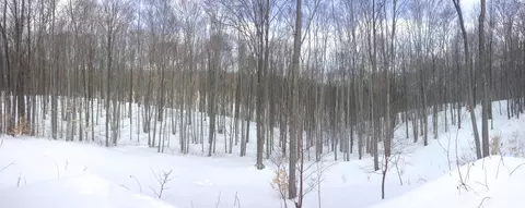 3300 Treetops Ln, Vanderbilt, MI 49795 photo 27