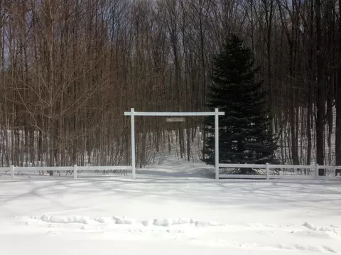 3300 Treetops Ln, Vanderbilt, MI 49795 photo 28