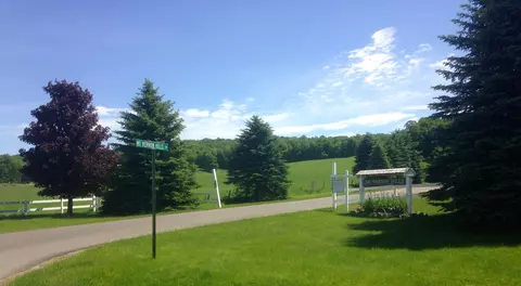 3300 Treetops Ln, Vanderbilt, MI 49795 photo 30