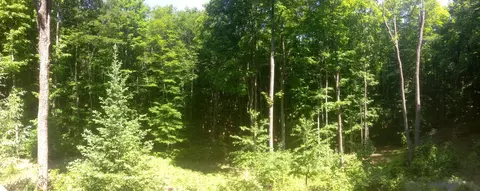 3300 Treetops Ln, Vanderbilt, MI 49795 photo 22