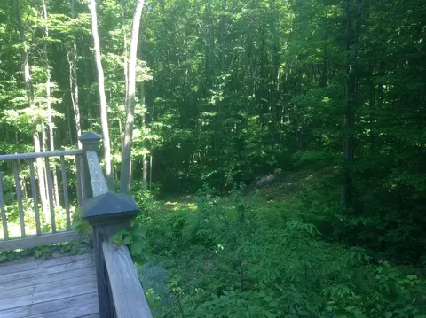 3300 Treetops Ln, Vanderbilt, MI 49795 photo 23