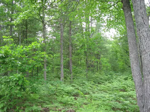 1316 Cauchy Road Mio Mi 48647 Rd, Mio, MI 48647 photo 6