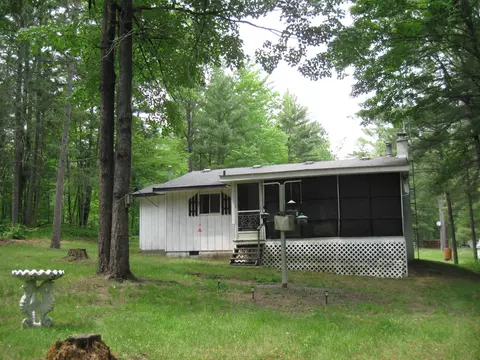 1316 Cauchy Road Mio Mi 48647 Rd, Mio, MI 48647 photo 2