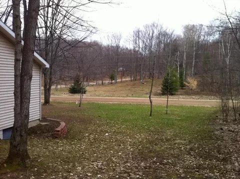 9895 Bradford Dr, Frederic, MI 49733 photo 14