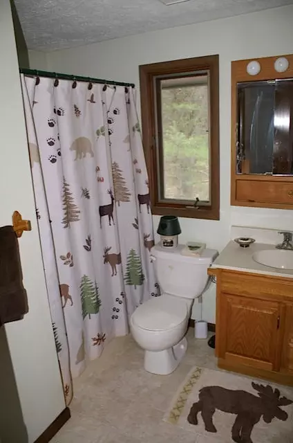 10817 Sanctuary, Frederic, MI 49733 photo 11