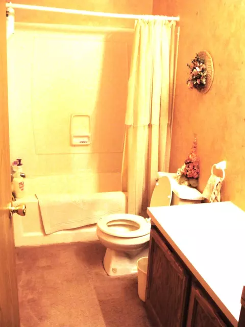 2817 River Park Dr, Grayling, MI 49738 photo 8