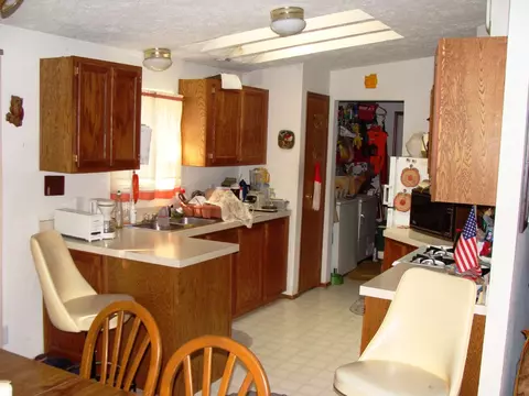 2817 River Park Dr, Grayling, MI 49738 photo 6