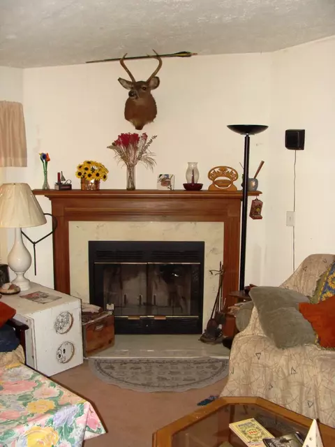 2817 River Park Dr, Grayling, MI 49738 photo 5